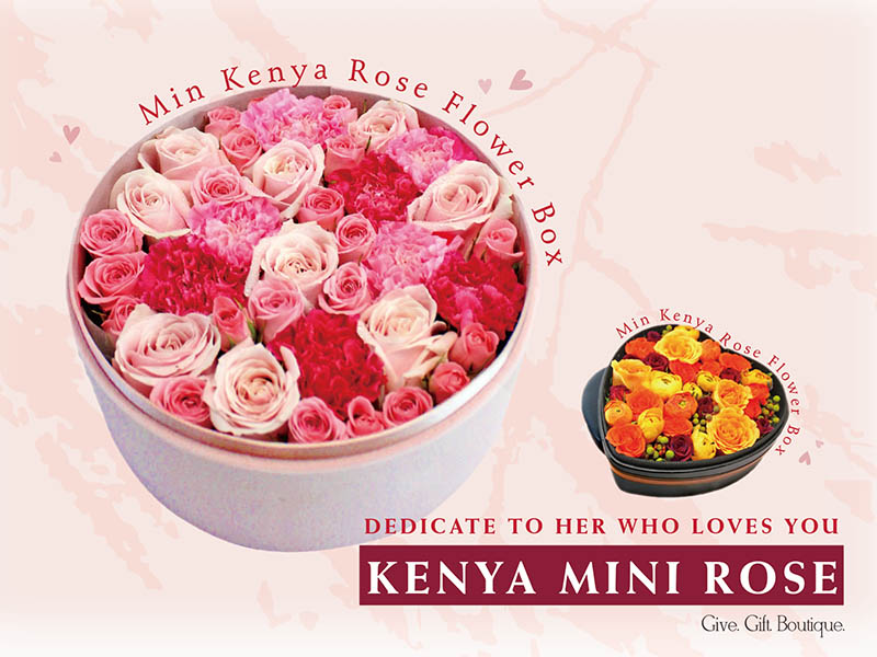 Dedicate to her who loves you- Kenya Mini Rose